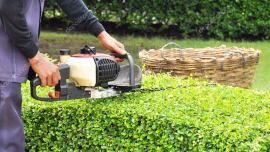 Tuinonderhoud